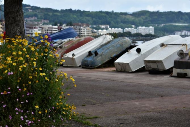 KOLOREAK: foto en Hondarribia