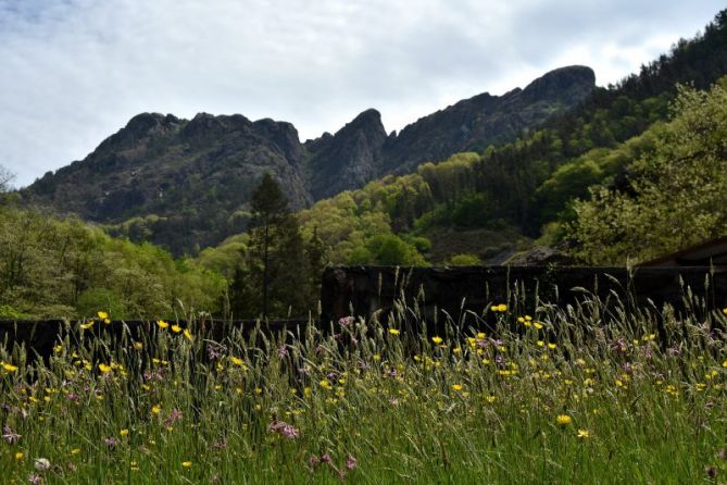 LOREAK: foto en Oiartzun