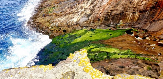 Mar de colores: foto en Lezo