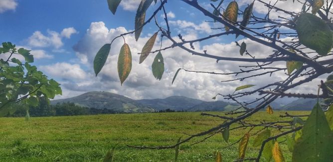 Marco otoñal.: foto en Zestoa