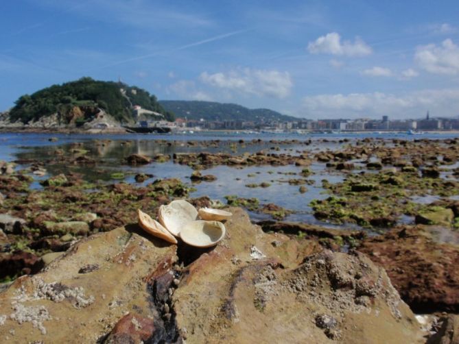 MAREAS VIVAS: foto en Donostia-San Sebastián