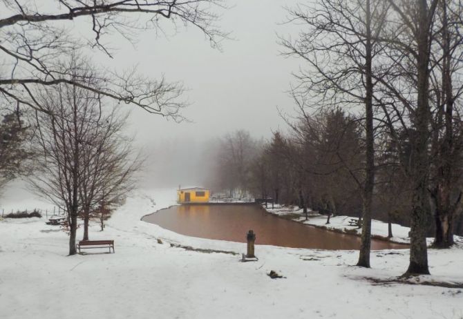 NIEVE: foto en Elgeta