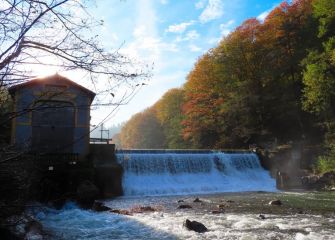 Otoño en leitzaran