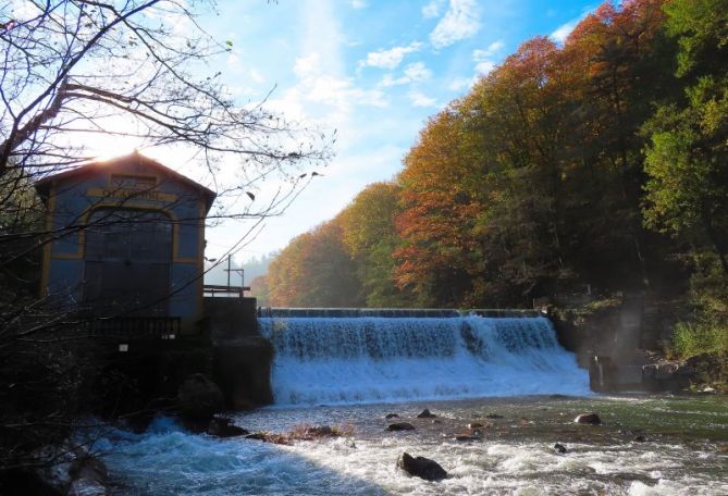 Otoño en leitzaran: foto en Andoain