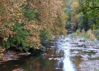 Otoño sobre el rio Deba