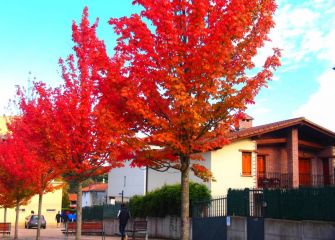 Otoño al rojo vivo