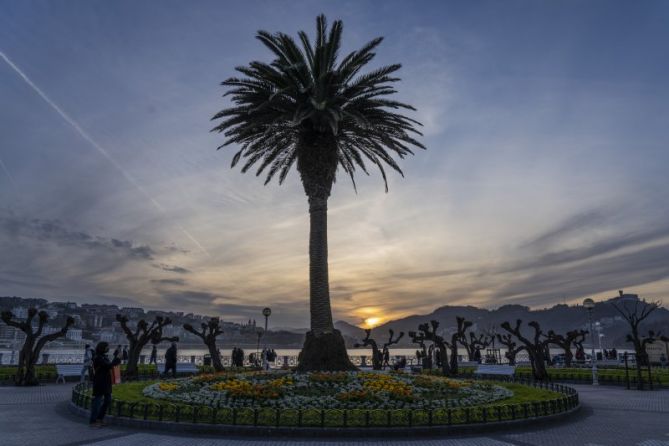 PALMERA DONOSTIARRA: foto en Donostia-San Sebastián