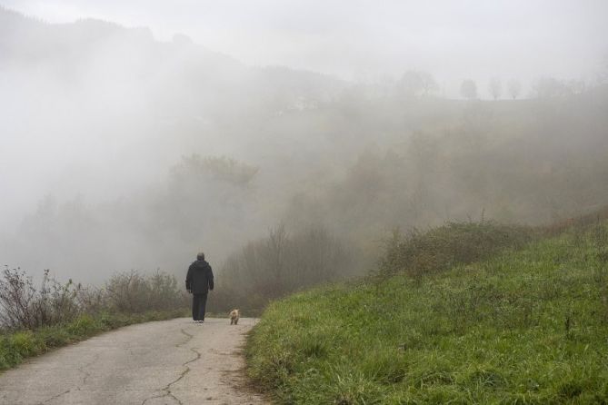 Paseo: foto en Bergara