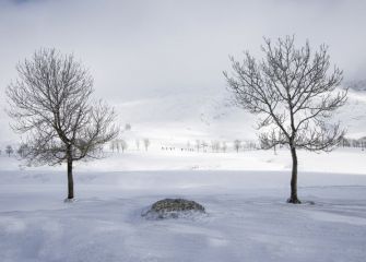 Paseo en la nieve