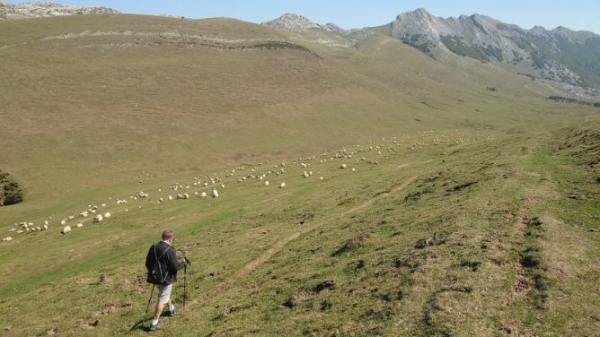 Poljé de la sierra de Aizkorri: foto en Segura