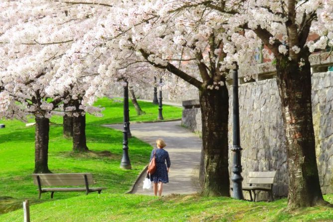 Primavera: foto en Beasain