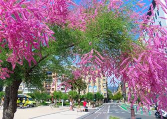 Primavera donostiarra