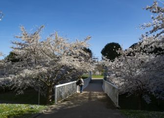 Primavera en Riberas