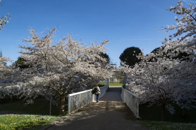 Primavera en Riberas: foto en Donostia-San Sebastián