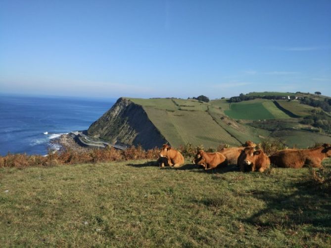 RUTA GUETARIA-ZUMAYA: foto en Zumaia