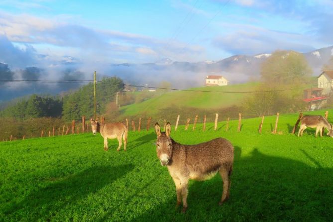 Sol de invierno: foto en Lazkao