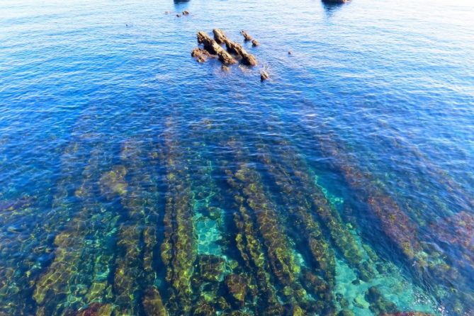 Tesoros del mar: foto en Getaria