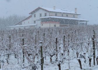 Viñedos invernales