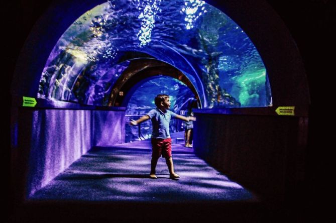 en el acuario: foto en Donostia-San Sebastián