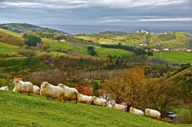 Aizarnazabal : foto en Aizarnazabal