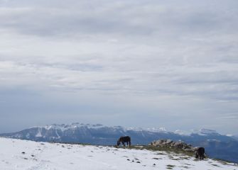 Aizkorri Aralartik