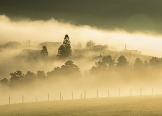 Amanecer entre la niebla