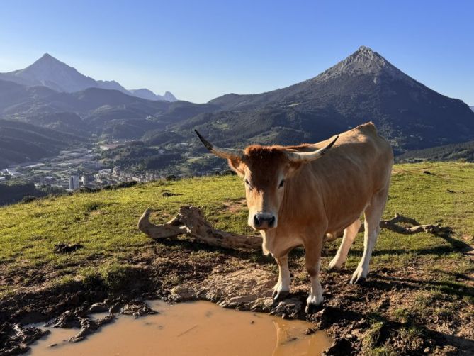 Anboto y Udalaitz desde Kurtze-txiki: foto en Arrasate-Mondragón