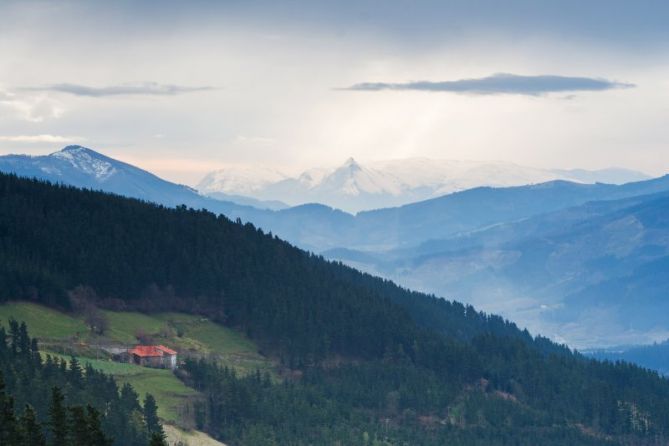 Angiozar: foto en Bergara