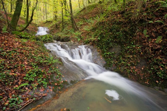 Aralarko bazterrak: foto en Ataun