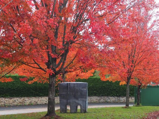 Arboles rojos de otoño: foto en Usurbil