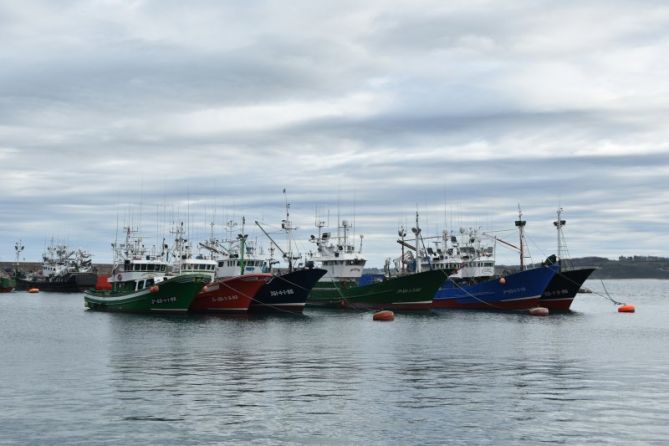 ARRANTZA-ONTZIAK - PESQUEROS: foto en Hondarribia