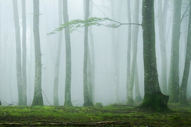 Beunda: foto en Zegama