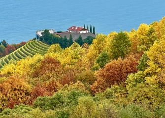 Bodega de Txakoli de Getaria 