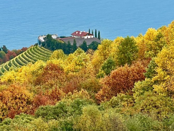 Bodega de Txakoli de Getaria : foto en Zarautz