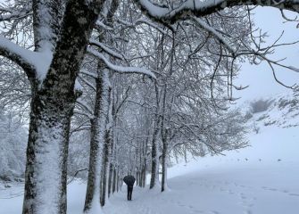 campas de urbia en blanco