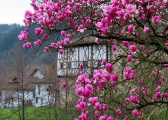 Colores de invierno