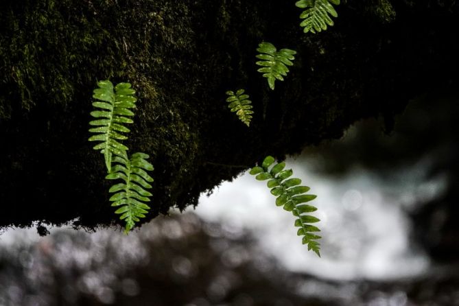 Detalles: foto en Oñati