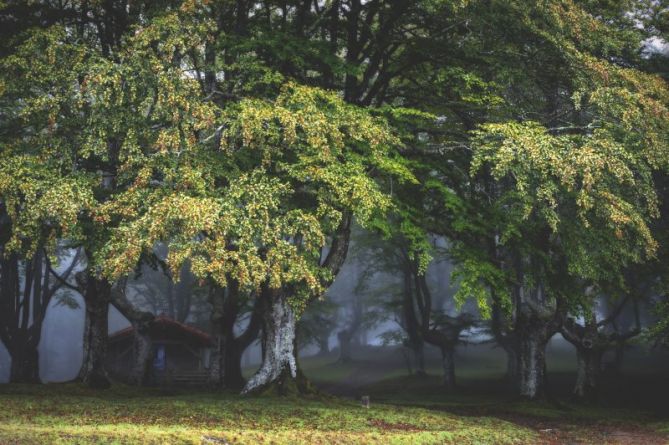 entre guardianes: foto en Oiartzun