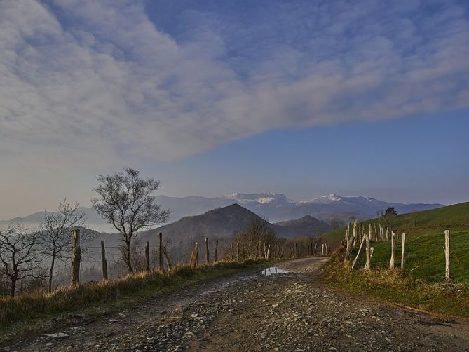 Ernio nevado: foto en Asteasu