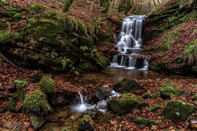 Erreka udazkenean: foto en Oñati