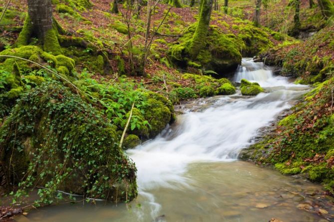 Errekastoa: foto en Ataun