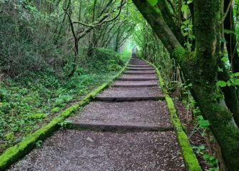 La escalera verde