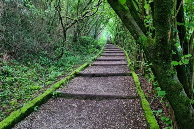 La escalera verde