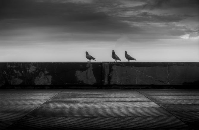 Espectadores del mar: foto en Donostia-San Sebastián