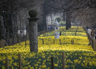 Explosión de la primavera