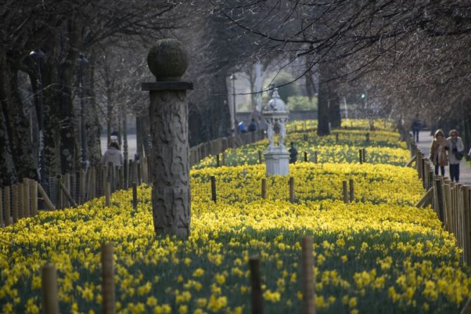 Explosión de la primavera: foto en Donostia-San Sebastián