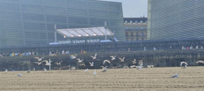 Gaviotas: foto en Donostia-San Sebastián