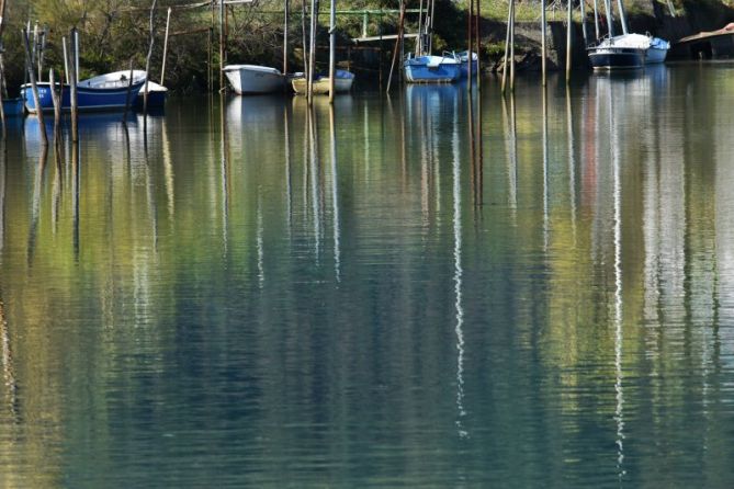 KOLOREAK - COLORES: foto en Hondarribia