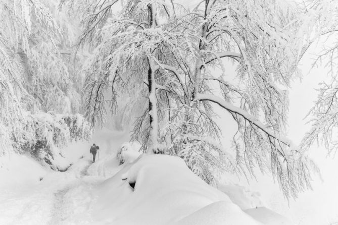 Kurutzeberriko bidea: foto en Aretxabaleta