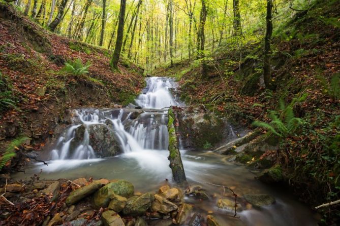 Lizarrusti udazkenean: foto en Ataun